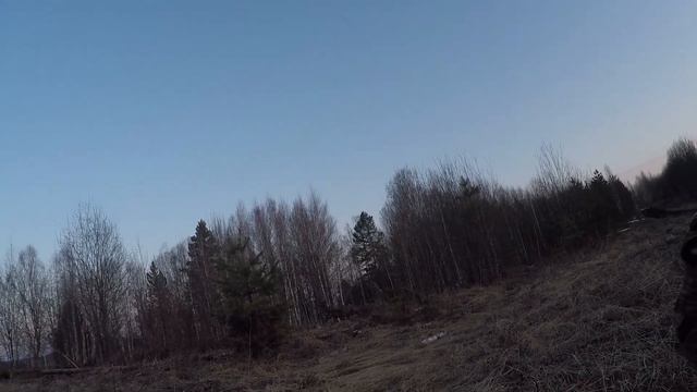 Охота на глухаря весной.