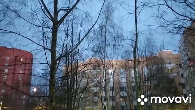 Доброго утра страна! Соловушка поëт. 🤗🕊29 апреля 2021