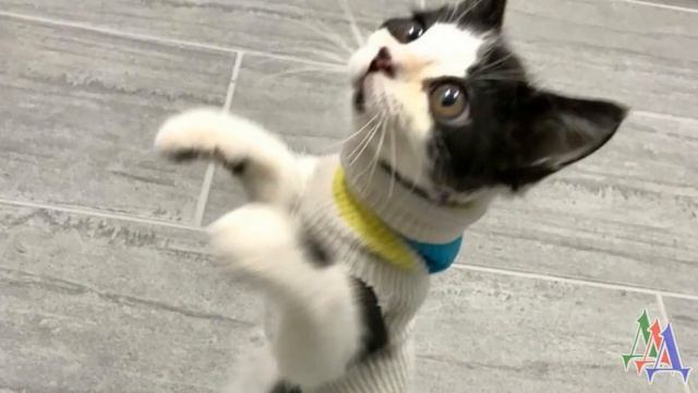 9fe0a831a224f5447df9943bf625c40f