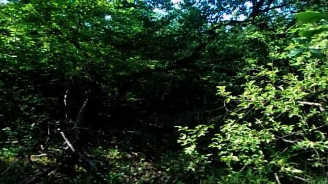 САМВЕЛ АДАМЯН МАТЬ ПРИЗНАЛАСЬ НАДЕ СОБРАЛИ БОЛЬШЕ 300ТЫС. ЭДИК РВАЛ ДЕНЬГИ НА СТОЛЕ