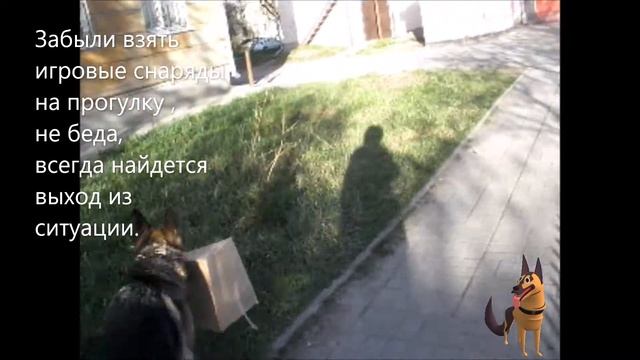 Любишь кататься   люби и саночки возить