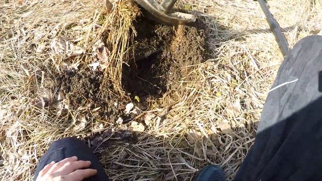 Коп металла на Жуткой заброшке.  Хотел больше, а получил как Всегда