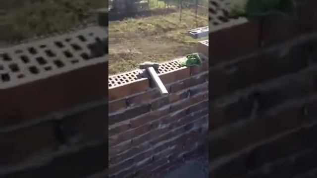 Как нужно класть облицовочный кирпич!