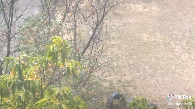 В хлам пьяный решил заняться спортом в +40.)))