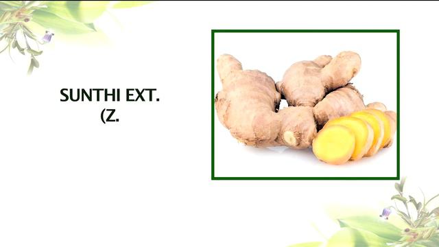 Well Heart Syrup | Ayurvedic Medicine For Cardiovascular Disease