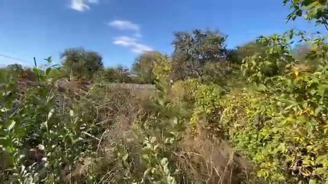 Участок 6 соток СНТ МЕТАЛЛУРГ-1 линия 6