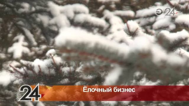 В Казани нелегальных продавцов елок будут штрафовать