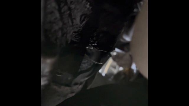 Замена и ремонт стартера: ВАЗ, Toyota, Renault