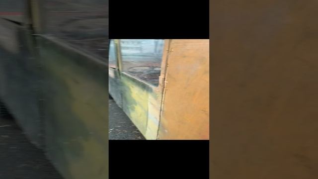 Лорен дитрих