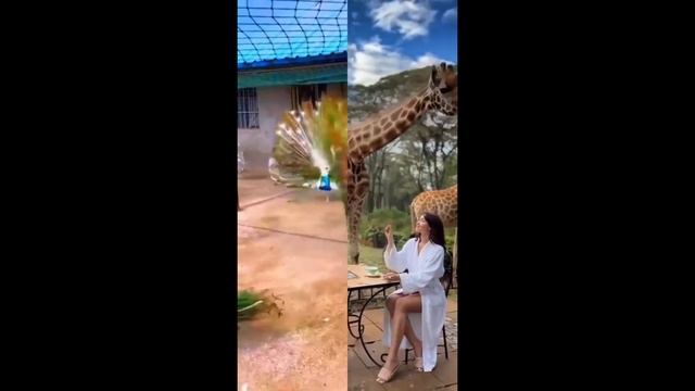 Позитив для всіх!