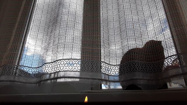 17.09.2021.  Чтение Книги -1. ч. 6. Евангелие Мира от Ессеев.