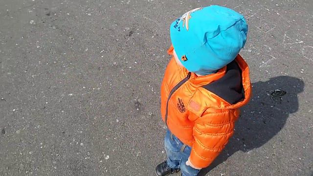 Охота на голубей