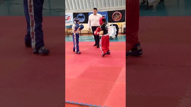 Бойцы ММА и Кикбоксинга
