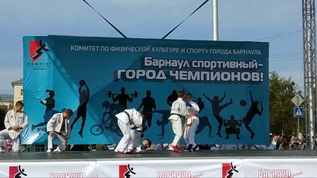 Джиу-джитсу