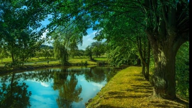 5555ef509ccbbb461cc5a8efe91e4cb5