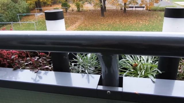 Test Canon PowerShot SX 230HS In HD