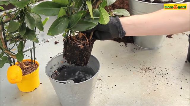 7a83bb53ddce54f72e7661e458d5c110