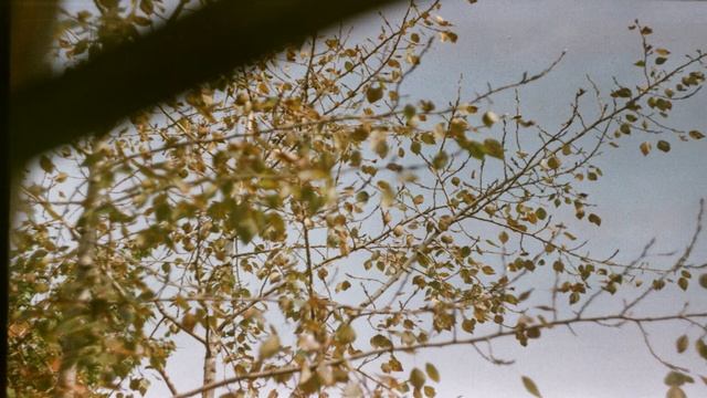 Осенний ветер