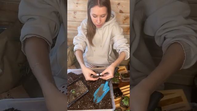 Анна Акинина (@ Anna Akinina~1613824350~17962104205373624~1