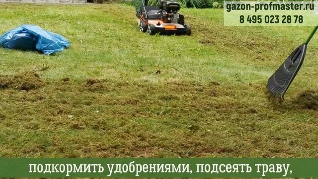 Льдинка весны