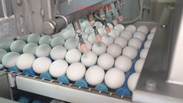 3223ff2d75de99503c31e35d3fa3cd77