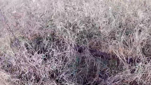 ОТКУДА ЗДЕСЬ СТОЛЬКО МЕТАЛЛА РЕЛЬСЫ,ТРУБЫ, УГОЛКИ.!!!!