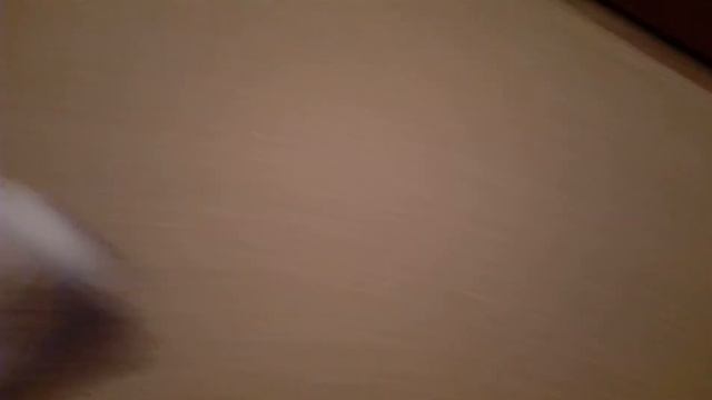 Шиншилльи бег. Chinchilla Is Run.