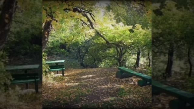 Места отдыха Родничок в Старом Крыму