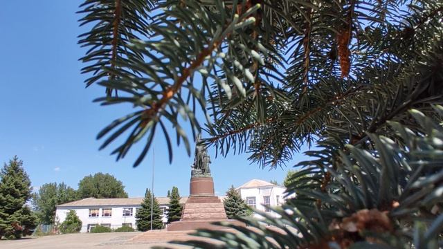 D16dd4b33dd5525eadffd66d854b569c