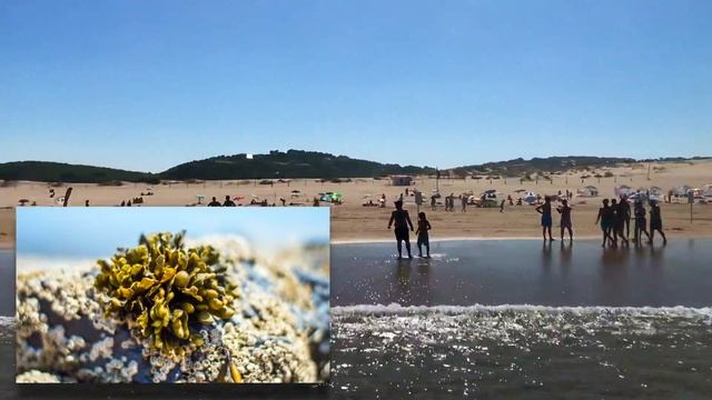Praia Grande Do Guincho