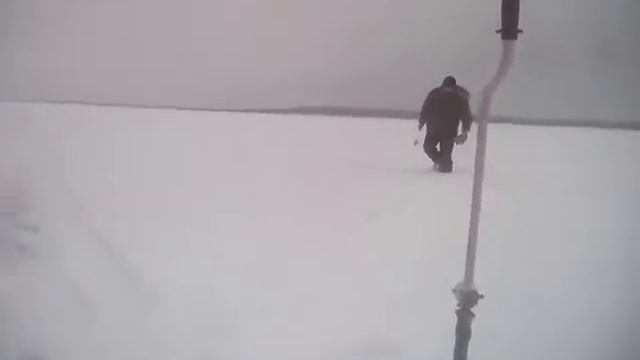 Чалково 3, 4, 5 янв 2017