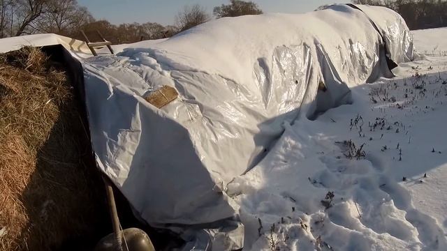 Как сохранилось сено?