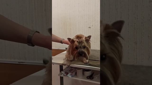 8c6d6e4ba974f5aa5d3a85386cdbf0d6