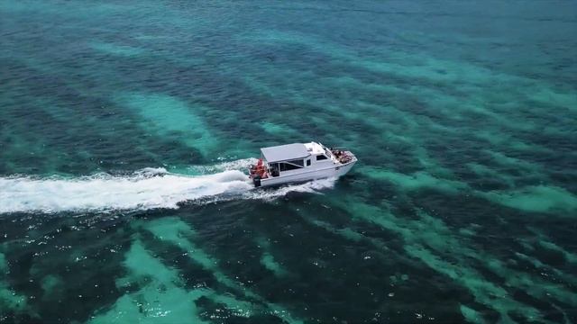 Relaxing Music 1 Hour :  Meditation Music, Spa Music,  Yoga Music ★80