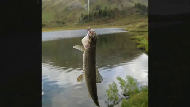 Андрей Иванов. Рыбалка.