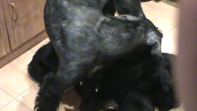 E74d20b66c8e34352e151cd3073379d8