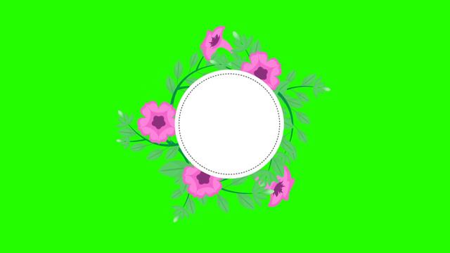 Free Animated Petunia Flowers GreenScreen  | Green Screen Frame Effects