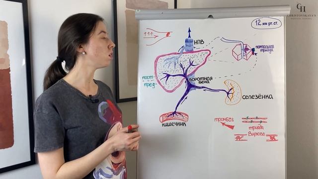 Портальная гипертензия (предпечёночная, печёночная, постпечёночная) | Патологическая физиология