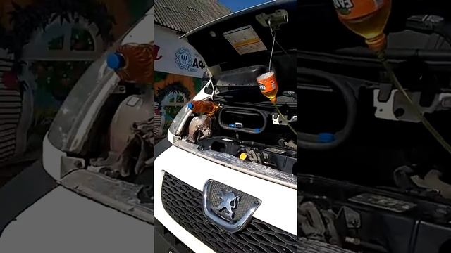 Замена масла и фильтров в двигателе и КПП