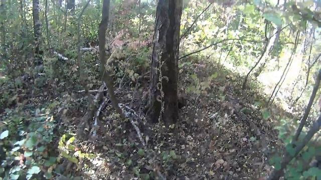 Тест камеры Sony в лесах, полях и огородах (Копать не перекопать) Часть5