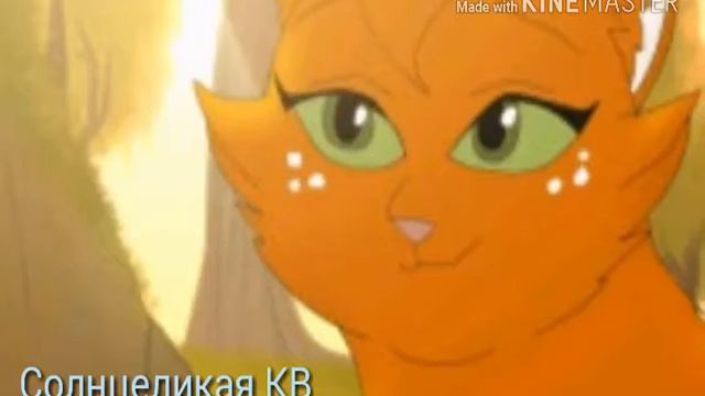 Коты воители-Белка