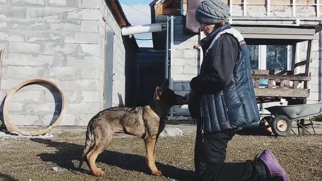 2b7aa4b2e39d11600bdc6c135f2f8457