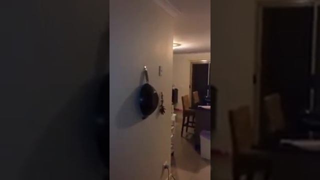 3eb5374b0d5ff4198d380c93e6654897