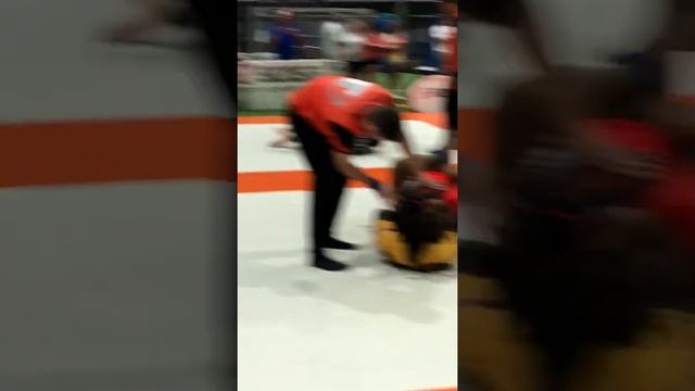 No Gig Tournament Came In First Place White Belt,Fighting Out Of  STOUT