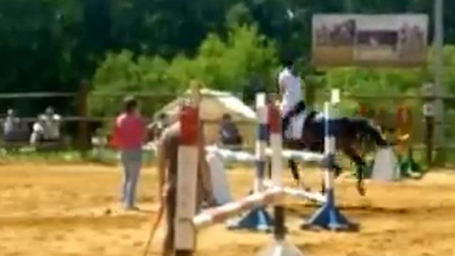 Соревнования по конному виду спорта