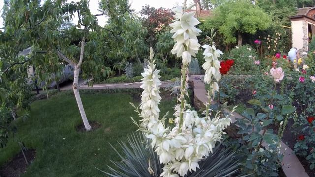 Кулинарные Изыски и Гурманство