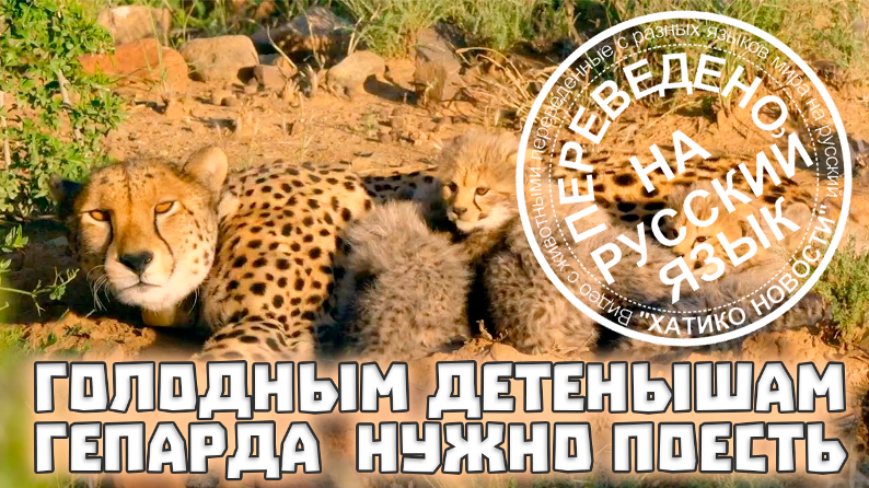 73cd2096a1b728cdbb3236ce04fdca59