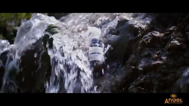 ANGEL OF PROVENCE 2017