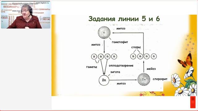 Задания высокого уровня сложности в ЕГЭ по биологии 2024 года