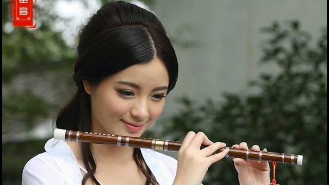 Top Chinese Insrumental Music - Relaxing Music